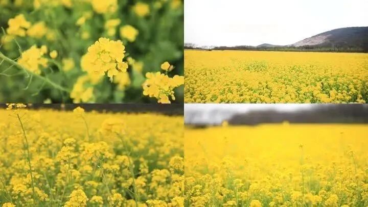 e5989b6bd3096e9691ce297a5c3b8044